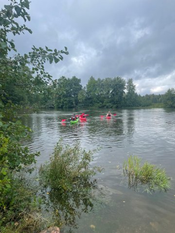 whatsapp image 2026-03-04 at 15.26.22 3